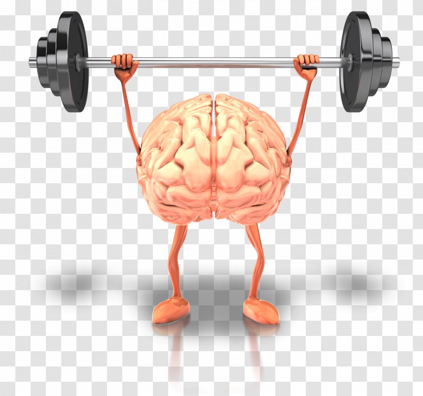 Brain Health Fish Oil Physical Exercise Human Body - Watercolor - Mind Transparent PNG