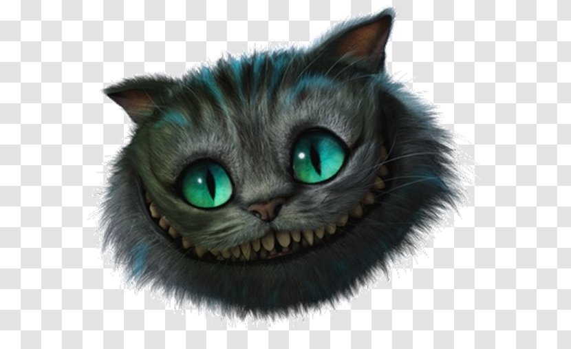 Cheshire Cat Alice In Wonderland Jack Skellington Caterpillar Daisy Duck - Whiskers Transparent PNG