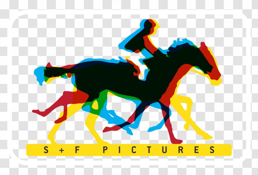 Mustang Pony Equestrian Stallion Soureh Film Club - Mane Transparent PNG