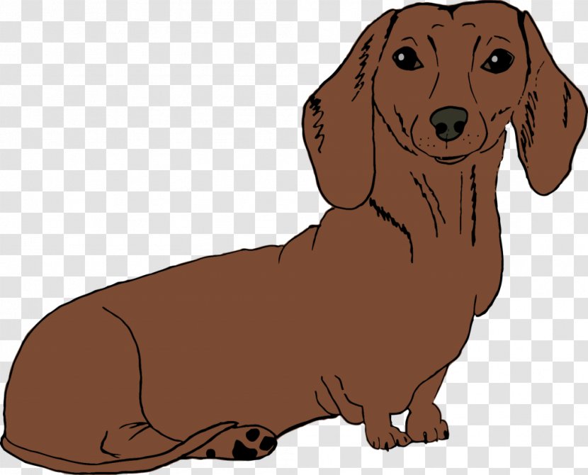 Dachshund Puppy Dog Breed Companion Beagle Transparent PNG