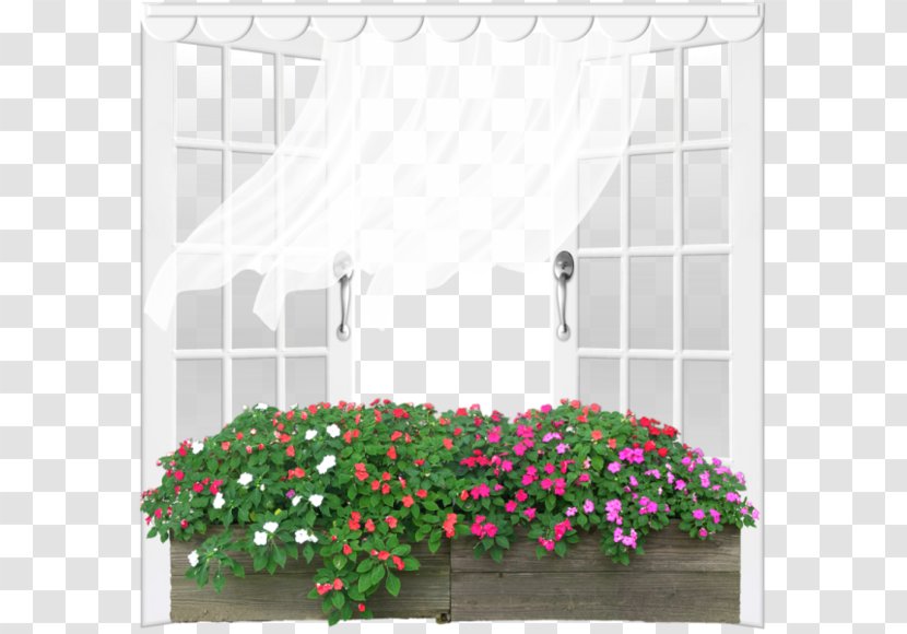 Grow Light Flower Ornamental Plant - Rectangle - White Window Transparent PNG
