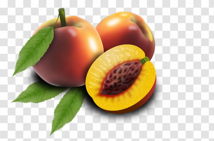 Clip Art Stock.xchng Image Stock Photography - Fruit - Froit Transparent PNG