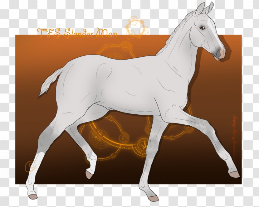 Stallion Mustang Foal Mare Colt - Livestock Transparent PNG