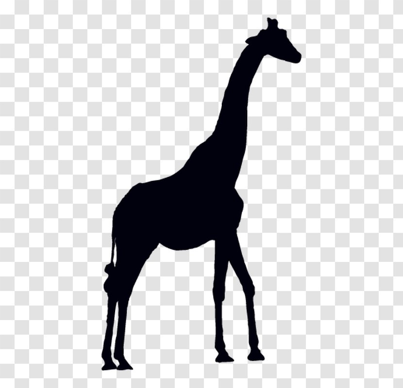 Giraffe Vector Graphics Clip Art Antelope Animal Silhouettes Transparent PNG