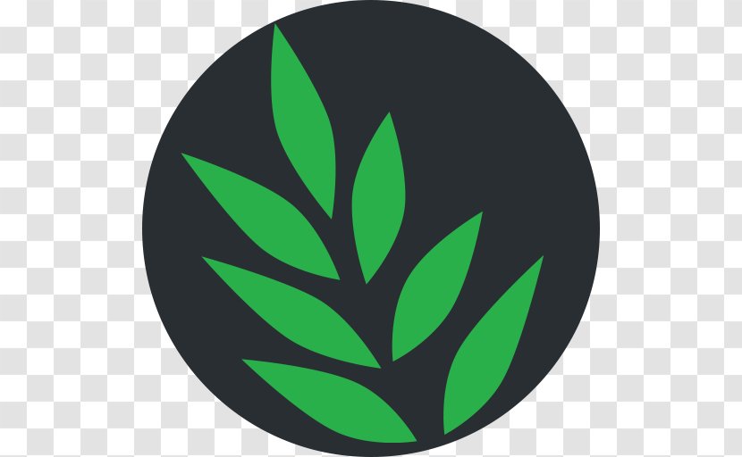Logo Symbol Leaf Font - Walnut Transparent PNG