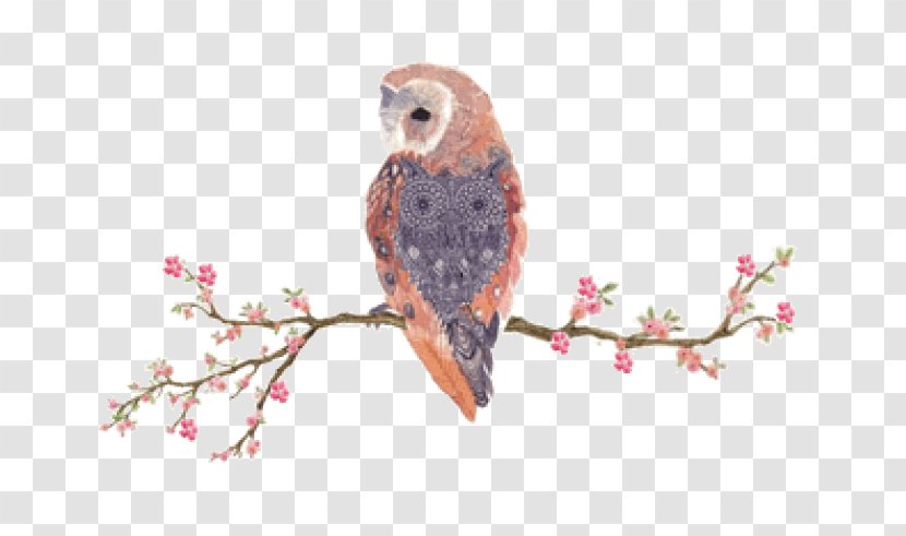 Owl IPhone 6S Bird - Fauna - Side Bar Transparent PNG
