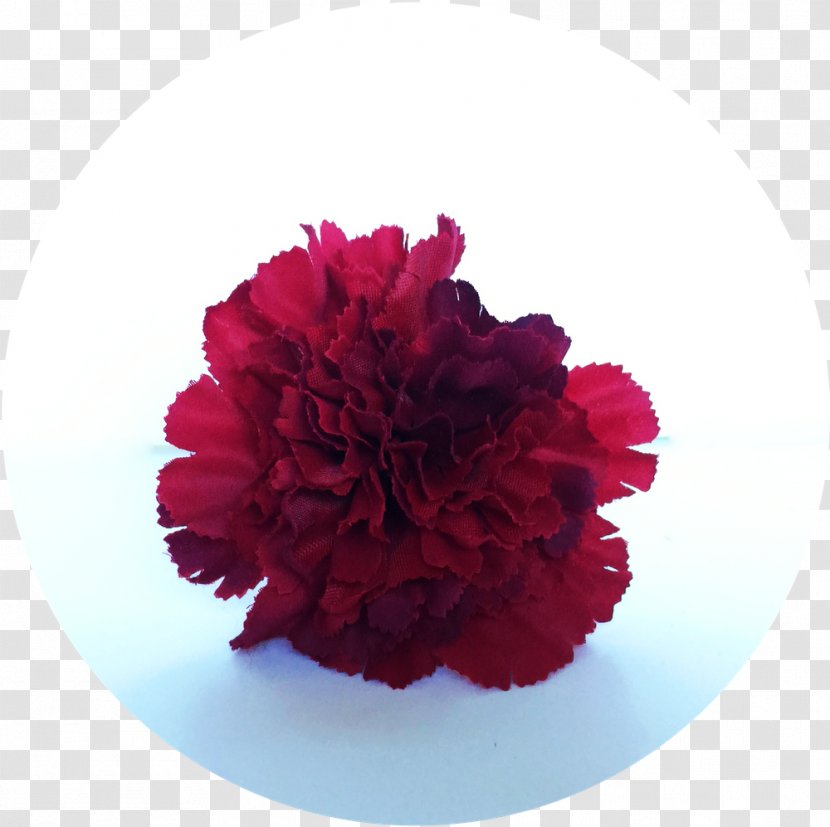 Carnation Cut Flowers Floral Design Flower Bouquet - Flowering Plant Transparent PNG