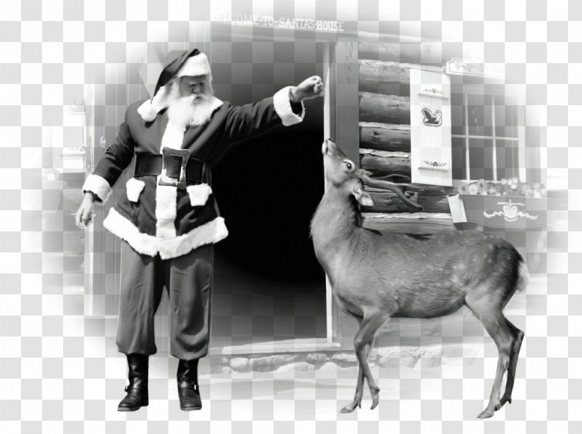 Santa Claus Christmas Reindeer House - Antique Transparent PNG