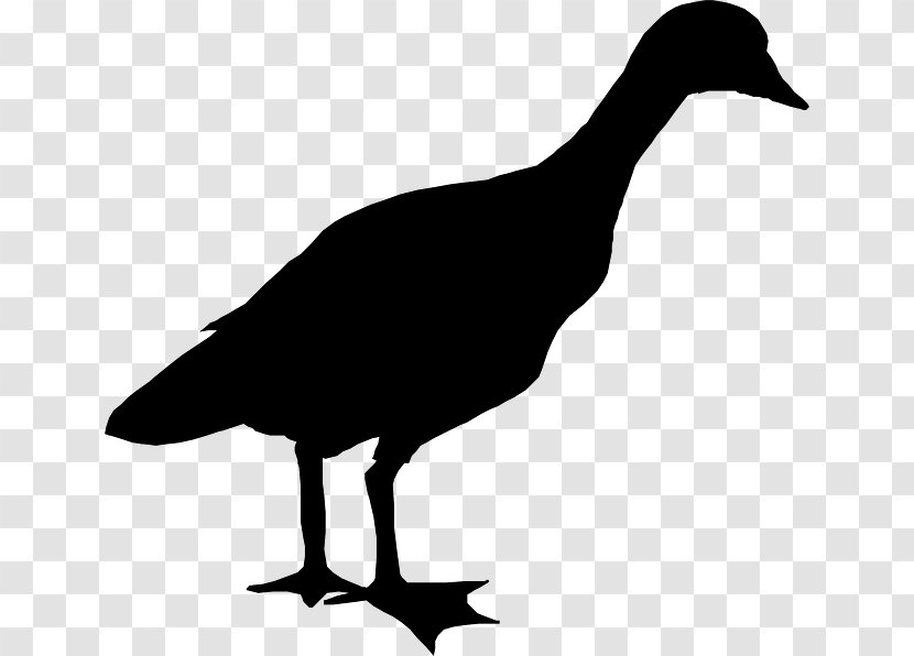 Dinosaur Girl Silhouette Tyrannosaurus Black - Goose - Fowl Transparent PNG