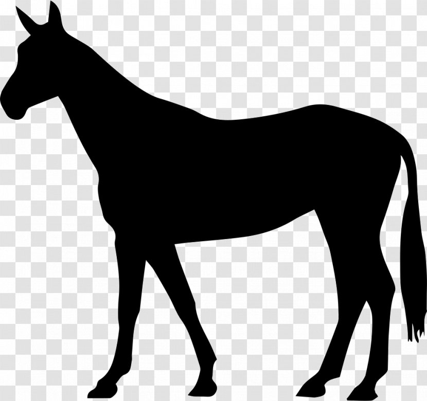 Arabian Horse American Quarter Friesian Mustang Pony - Draft Transparent PNG