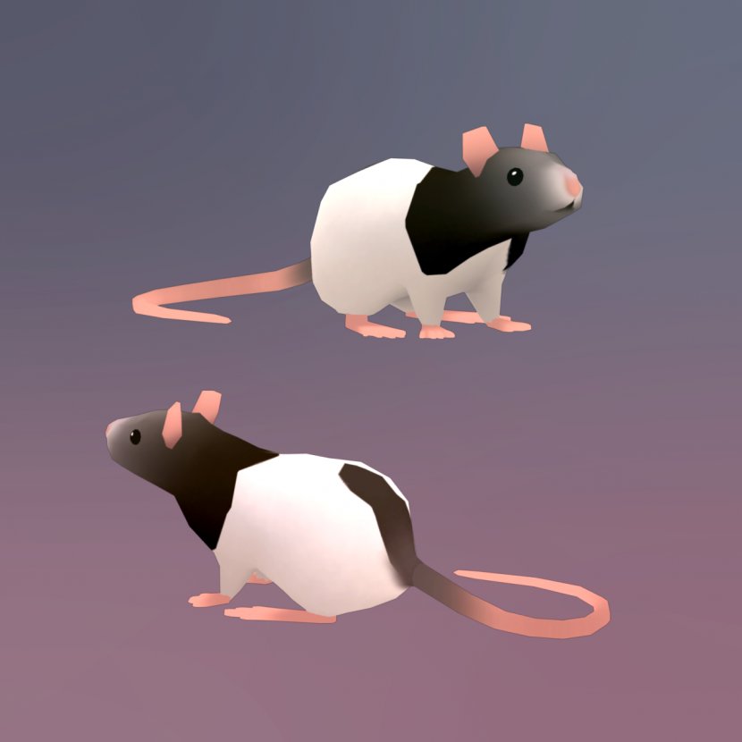 Rat Mouse Rodent Animation - Low Poly - & Transparent PNG