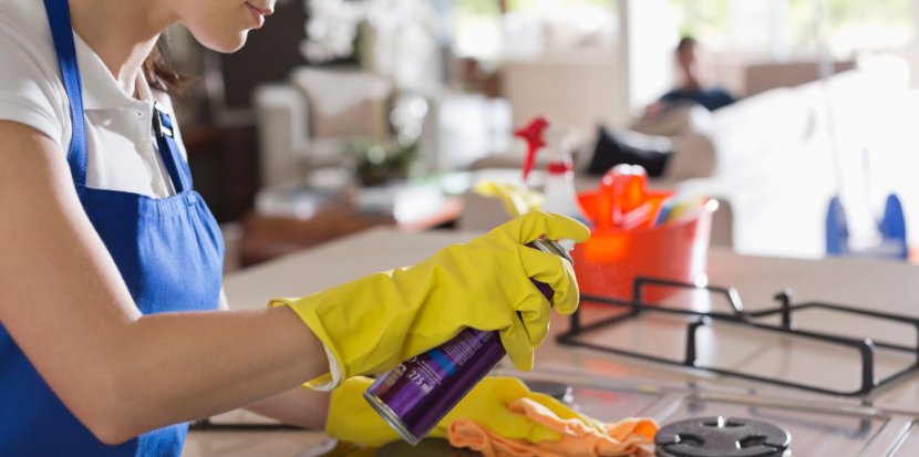 Cleaning Maid Service Housekeeping Cleaner Home - Professional Transparent PNG