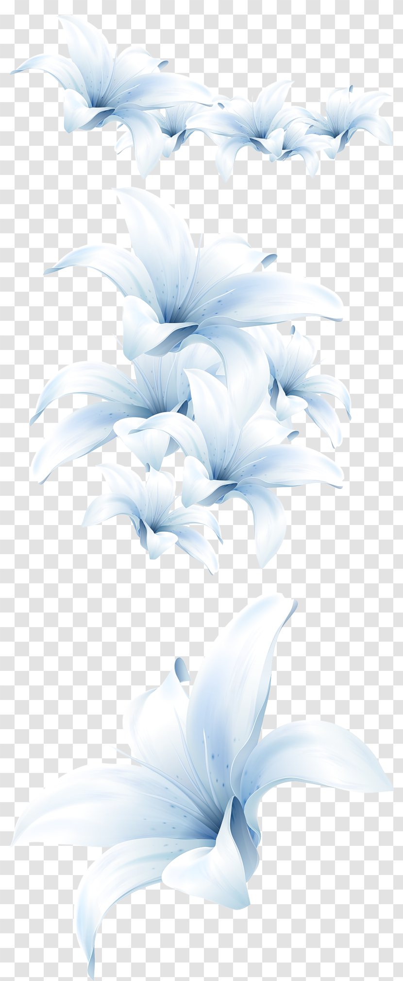 Flower Bouquet Lilium Candidum Lotion - Cut Flowers - Lily Transparent PNG