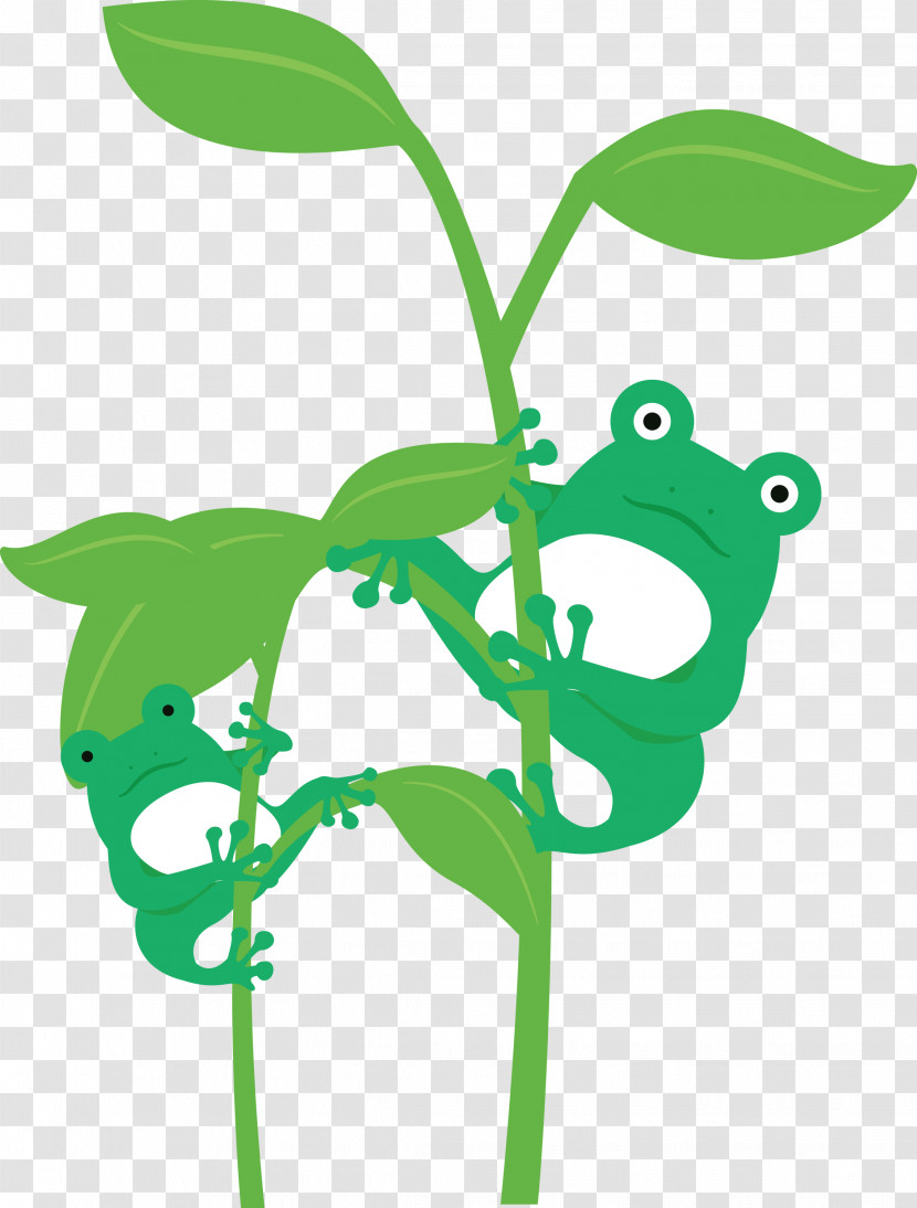 Leaf Plant Stem Frogs Meter Cartoon Transparent PNG