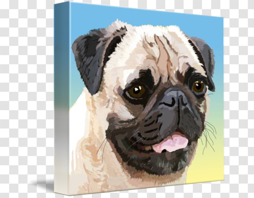 Pug Dog Breed Companion Fine Art - Puppy Love - Like Mammal Transparent PNG