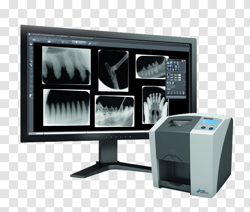 Veterinary Dentistry Veterinarian Medicine Dental Instruments - X-rey Transparent PNG