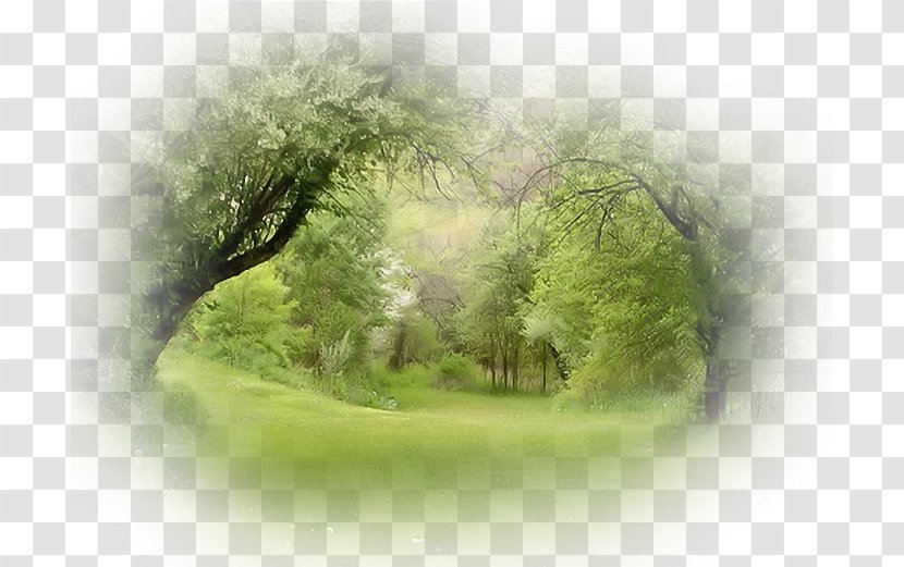 Landscape Painting - Green Transparent PNG