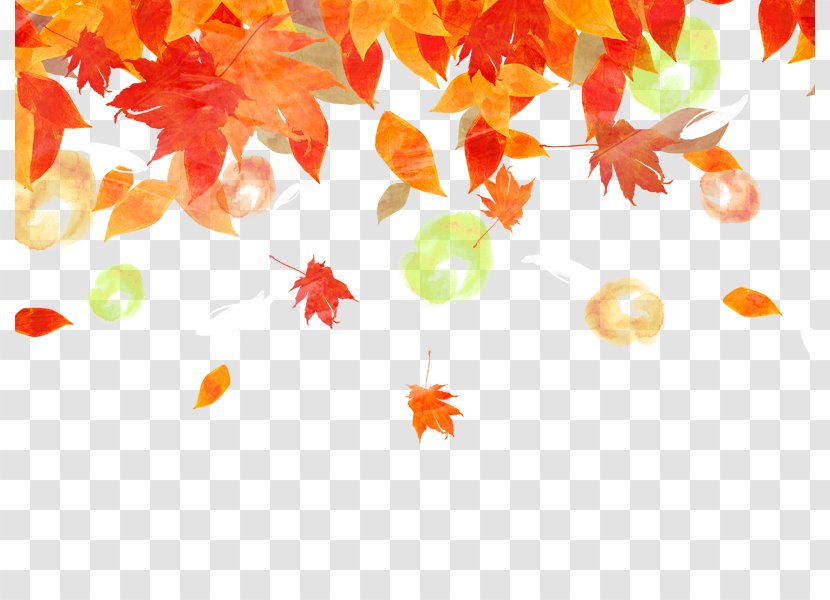 Background Fall Maple Leaf - Swf - Autumn Leaves Transparent PNG