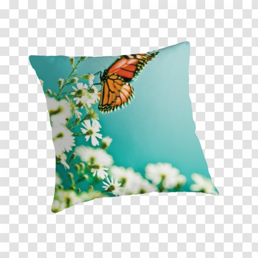 Butterfly Insect Throw Pillows Turquoise Cushion - Aestheticism Transparent PNG