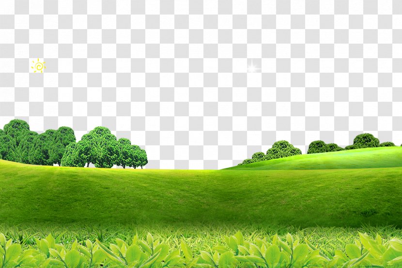 Poster Screensaver High-definition Television - Tree - Spring Background Transparent PNG