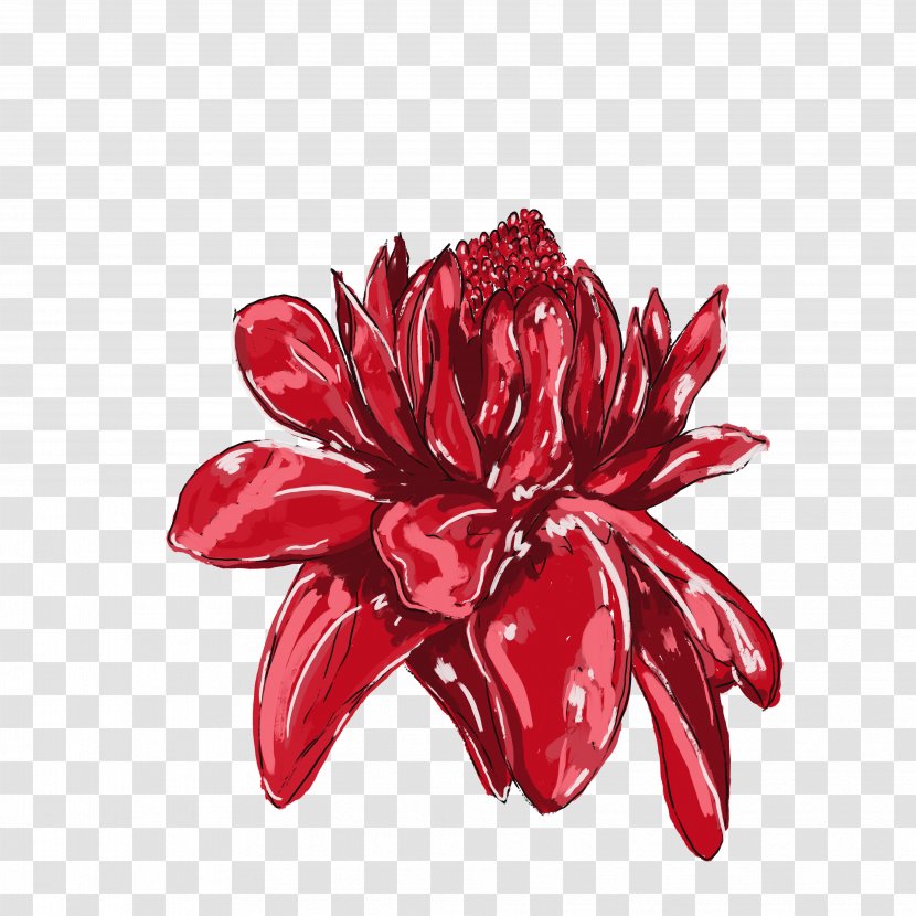 Flower Drawing Clip Art Jamaica Design - Artist - Anzac Transparent PNG