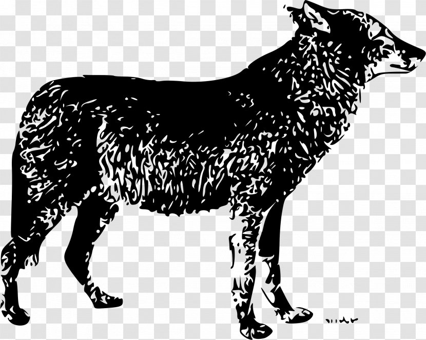 Gray Wolf Drawing Lone Clip Art - Fauna Transparent PNG