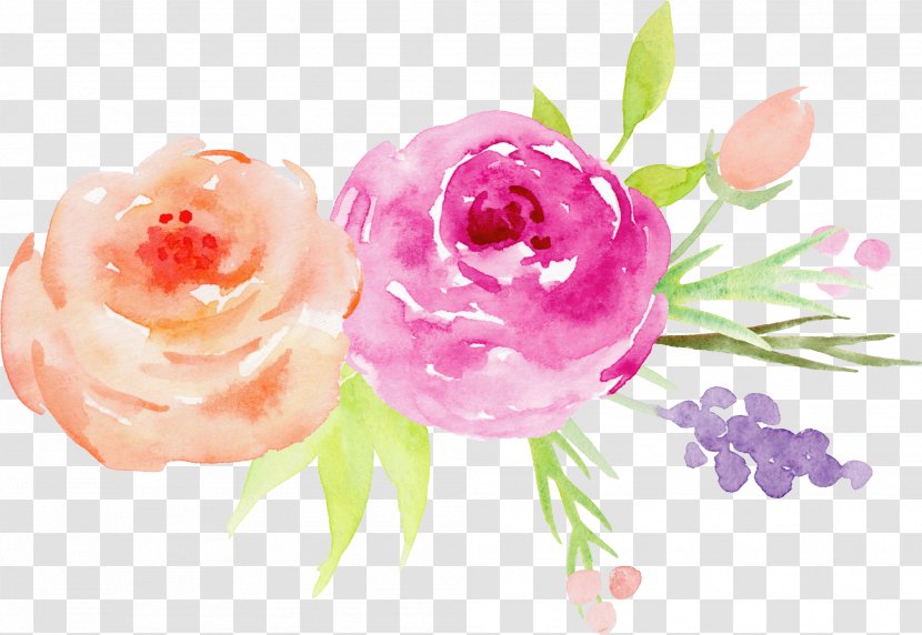 Flower Watercolor Painting Garden Roses - Bouquet - Hand-painted Decorative Elements Transparent PNG