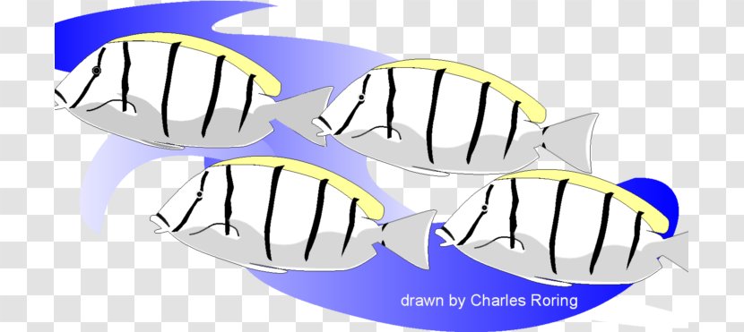 IPhone 5c Clothing Accessories Fish Clip Art - Iphone - Raja Ampat Transparent PNG