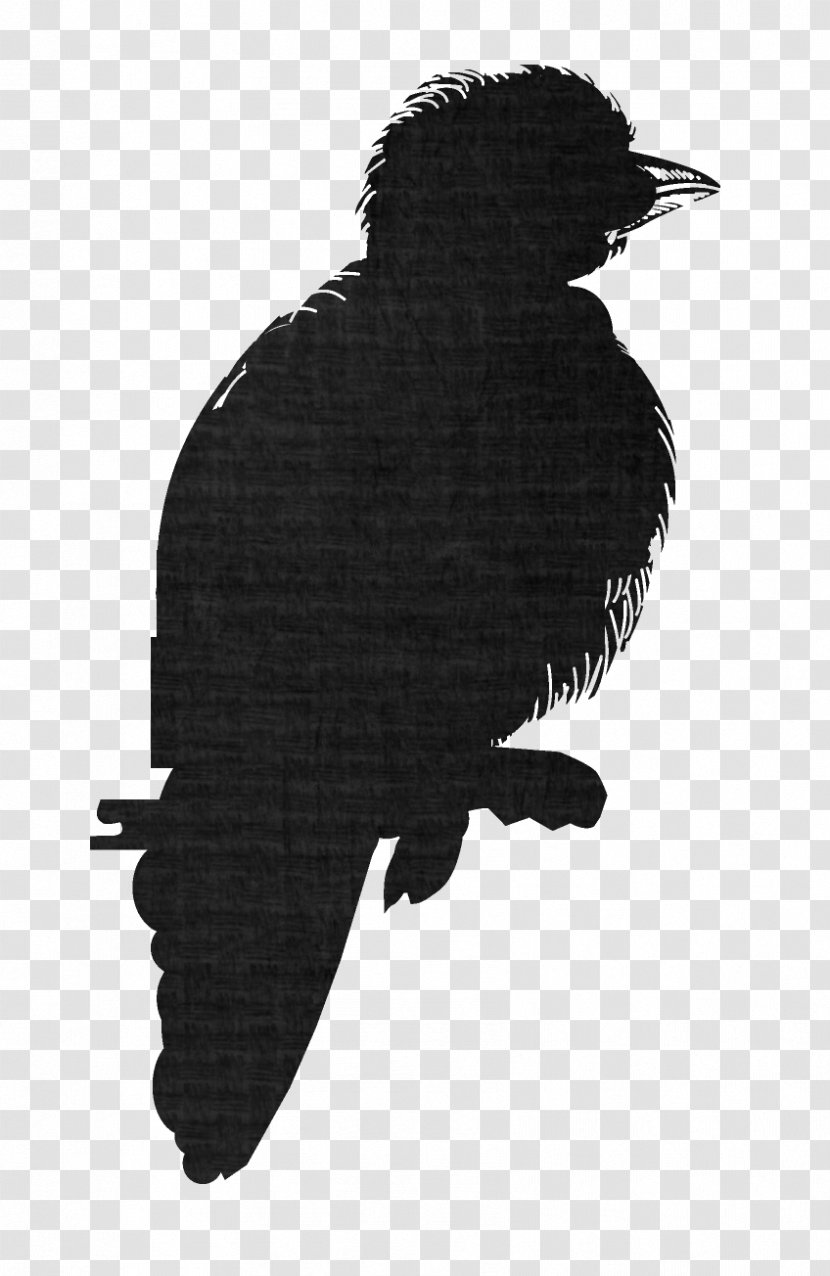 Eagle Fauna Silhouette Crow Beak - Bird Transparent PNG