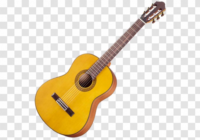 Classical Guitar Acoustic Electric Epiphone - Flower Transparent PNG