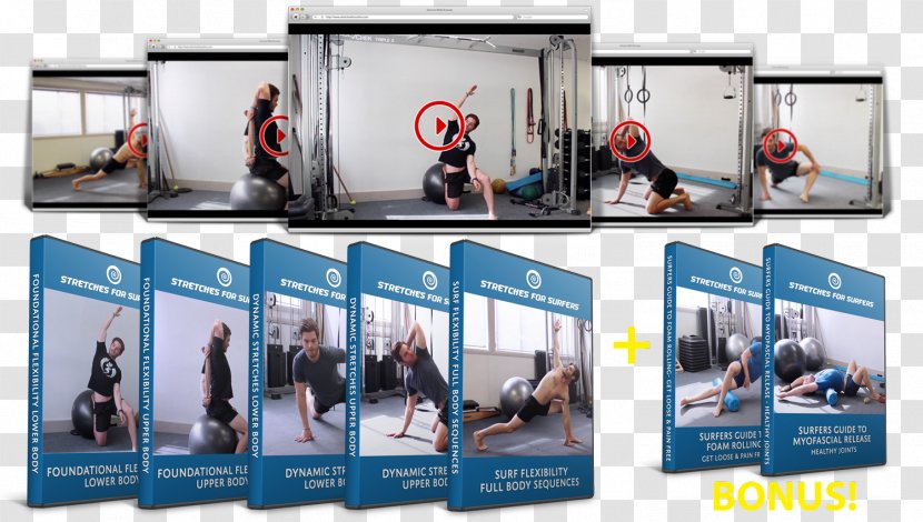 Stretching Full-body Flexibility Training Exercise - Joint Transparent PNG