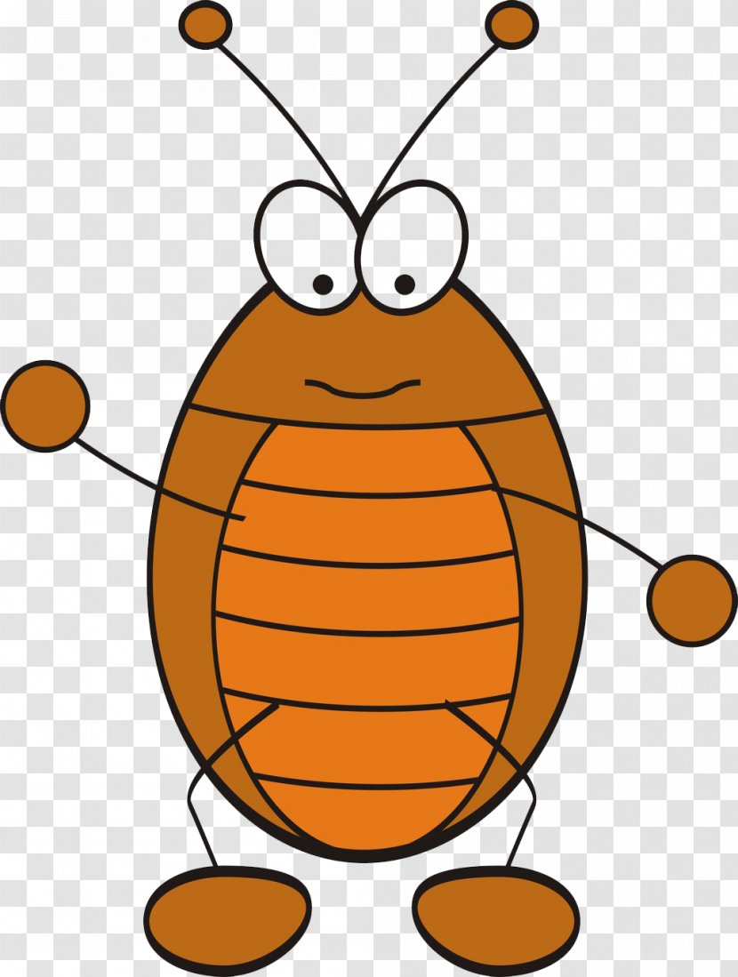 Cockroach Wubi Method Zhengma - Membrane Winged Insect - Cartoon Transparent PNG