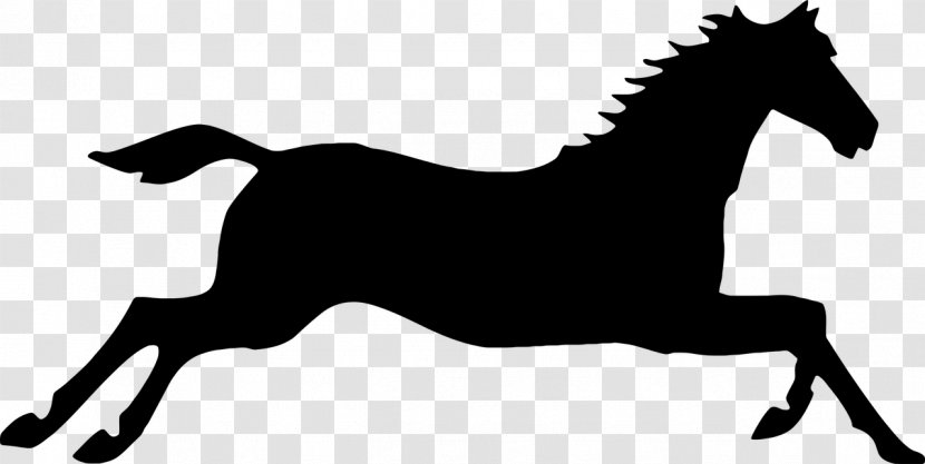 Arabian Horse Gallop Friesian Black Forest Clip Art - Equestrian Sport - Silhouette Transparent PNG