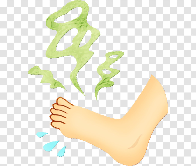 Leg Foot Sole Toe Human Body Transparent PNG