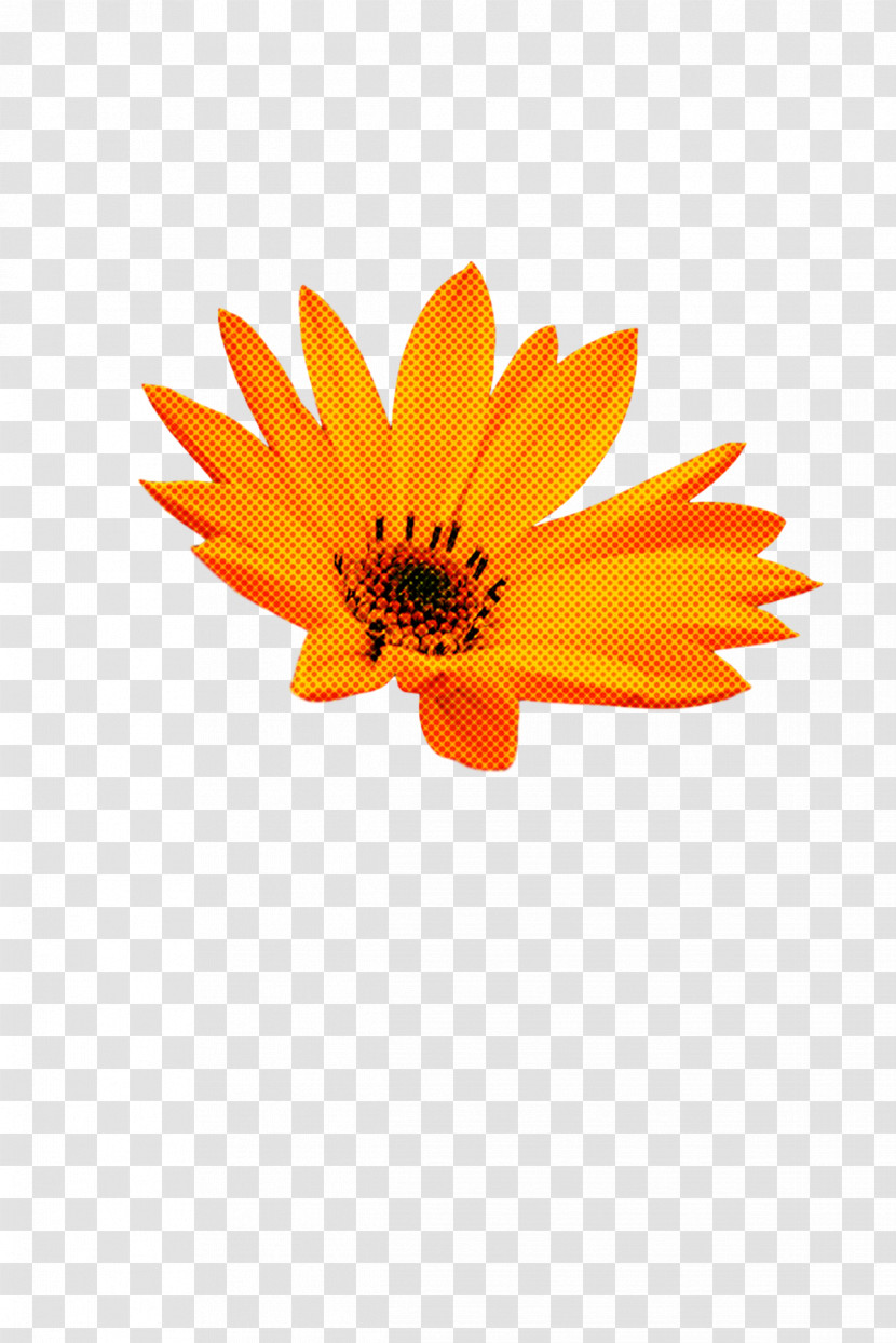 Sunflower Transparent PNG