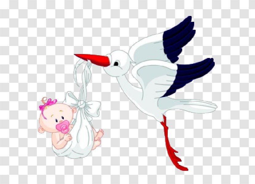 Bird Infant Clip Art - Stork Transparent PNG