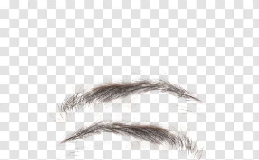 Eyebrow Eyelash Texture Mapping - Public Domain - Eyelashes Transparent PNG