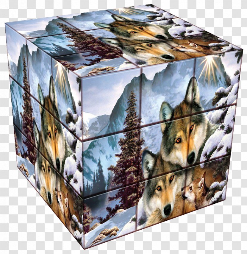 Fauna Wildlife - Cubes Transparent PNG