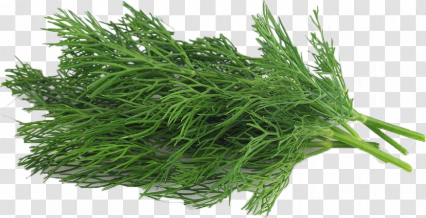 Dill Organic Food Nlaws Produce Inc Vegetable Herb - Dipping Sauce Transparent PNG