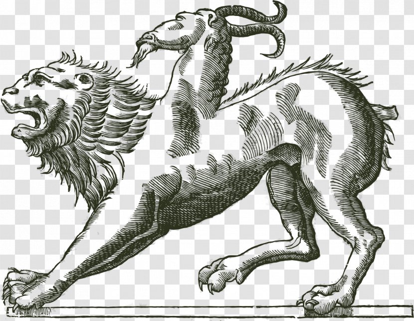 Monstrorum Historia The History Of Four-Footed Beasts And Serpents Cabinet Curiosities Monster - Organism - Chimera Transparent PNG