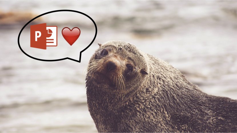 Sea Lion Pinniped South American Fur Seal - Fauna - Harbor Transparent PNG