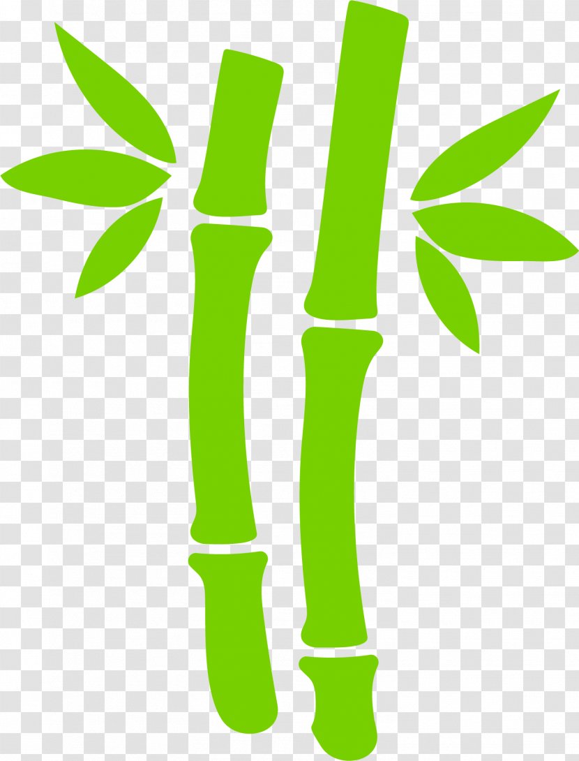 Bamboo Leaf Bamboe Euclidean Vector - Joint - Hand Painted Green Leaves Transparent PNG