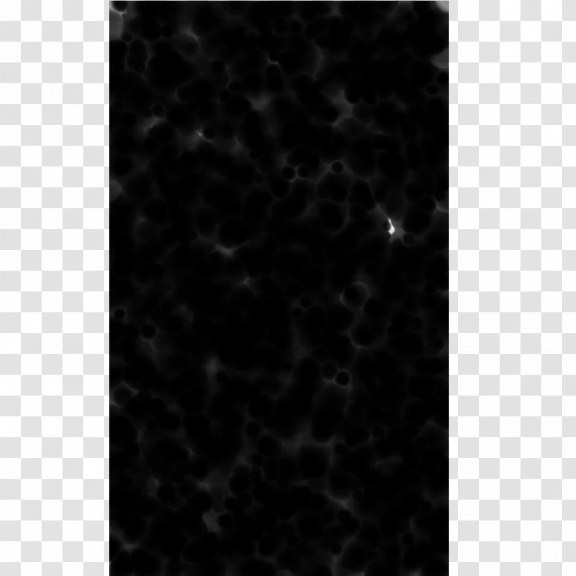 Granite Velvet White Black M - Monochrome Photography - Suo Transparent PNG