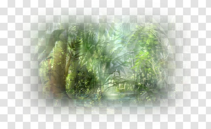 Digital Image Photography Desktop Wallpaper - Nature Background Transparent PNG