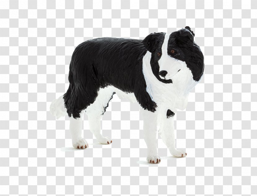 Barbara Sykes' Training Border Collies Rough Collie Dalmatian Dog Puppy - Carnivoran Transparent PNG