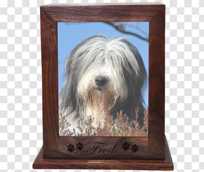 Bearded Collie Tibetan Terrier Catalan Sheepdog Schapendoes Polish Lowland - Havanese Dog - Photo-print Transparent PNG