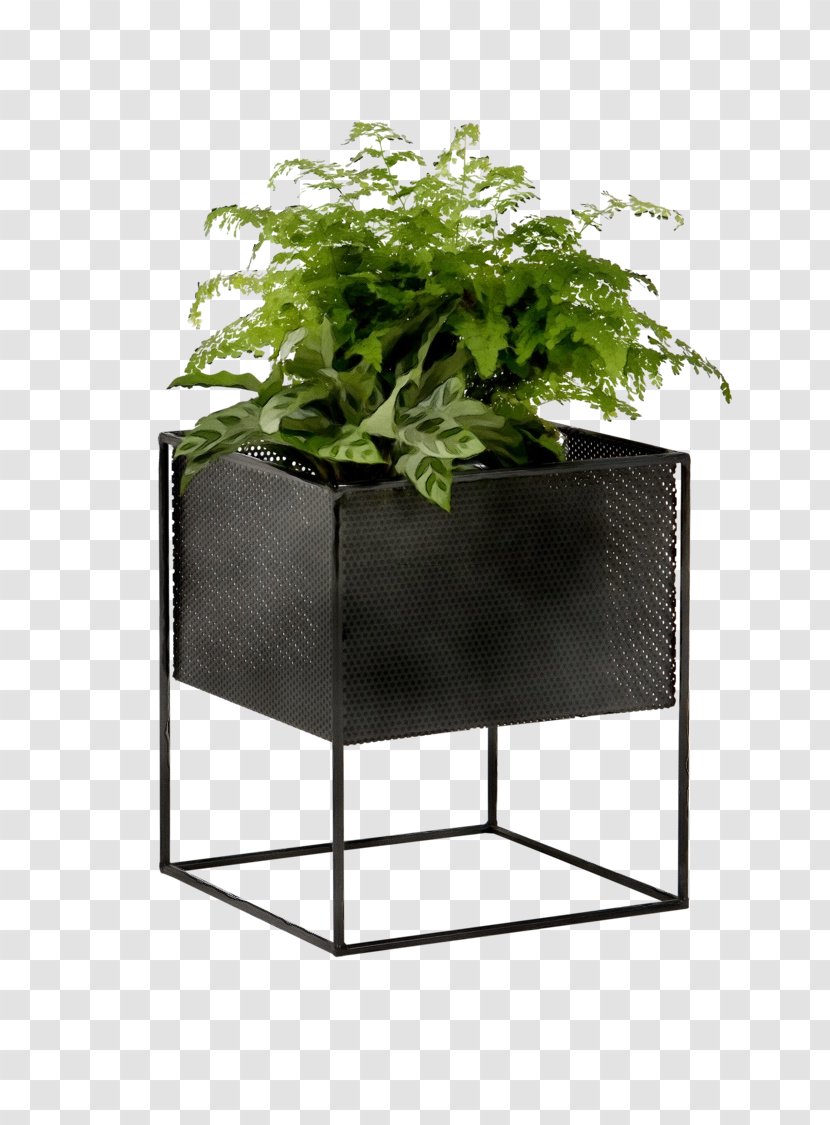 Flowerpot Leaf Houseplant Plant Table - Annual Vascular Transparent PNG