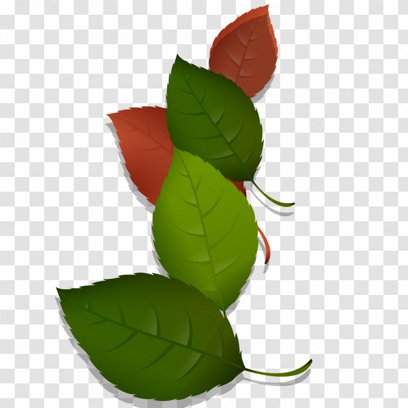 Green Leaf Autumn - Leaves And Model Transparent PNG