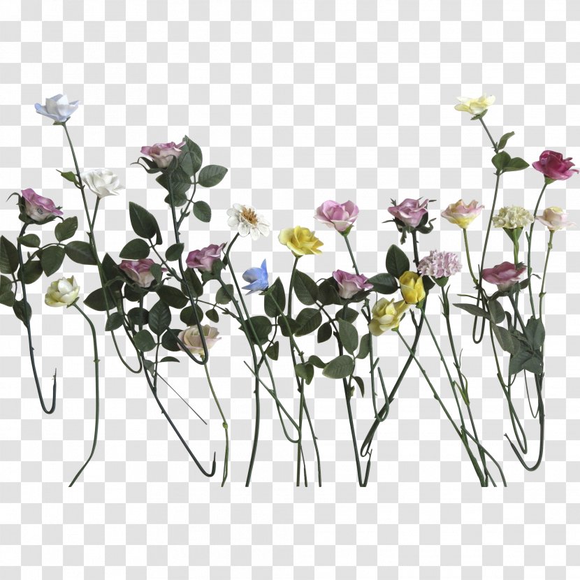 Cut Flowers Plant Stem Rose Porcelain - Daisy Transparent PNG