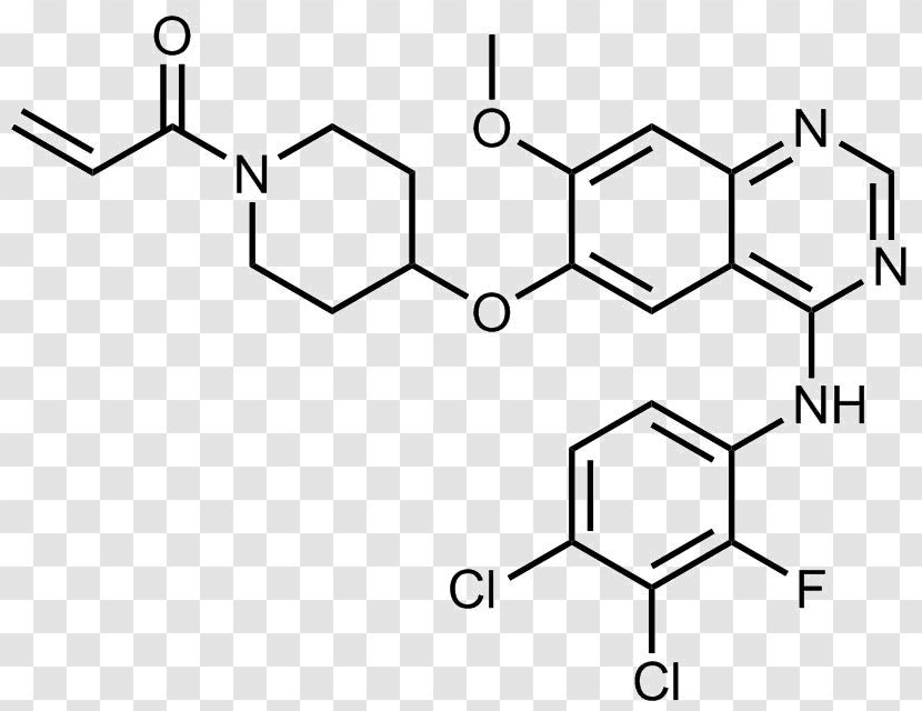 Poziotinib Substance Theory Chemical Compound KEGG Drug - Text - Rectangle Transparent PNG